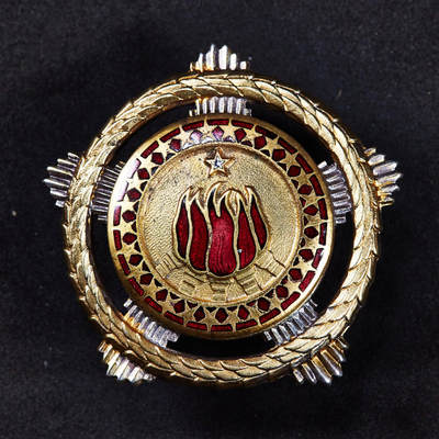 【俄甄集藏】2026年(049)03-18星期三 晚 19:30 全场包邮 - 南斯拉夫社会主义共和国一级兄弟团结与友谊勋章，银质镀金珐琅，轮版带银标，全品，直径：50mm，重量：49.7克，少见品种