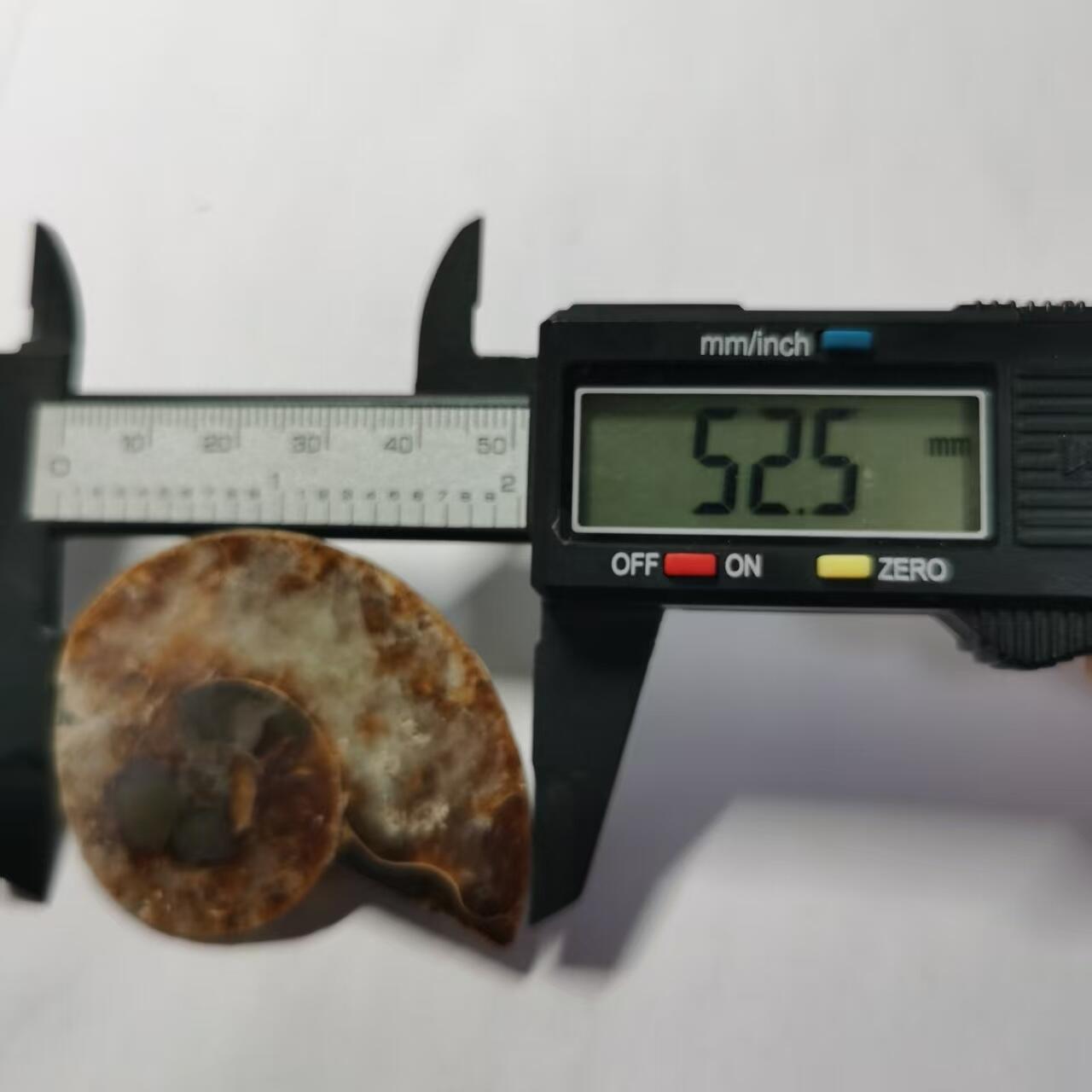 七河·藏家水晶矿标化石小拍（总第41期）