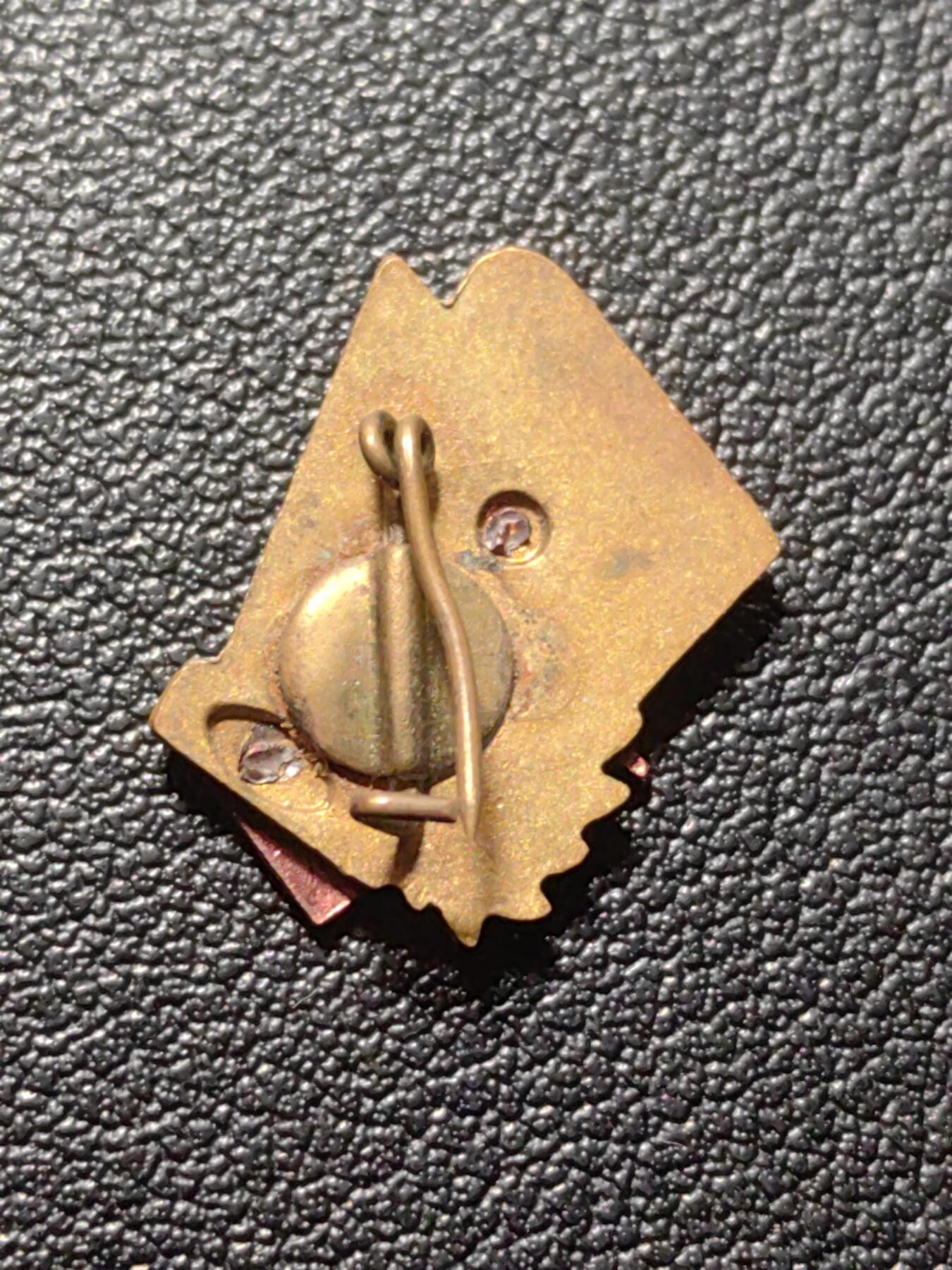 靖甫拍卖第六场 匈牙利体育卫国证章