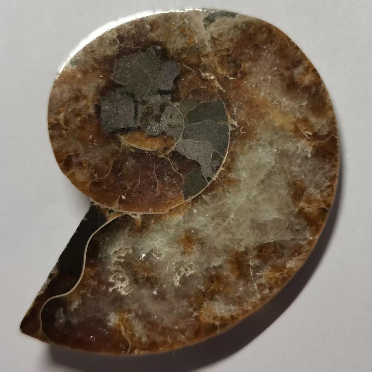 七河·藏家水晶矿标化石小拍（总第41期）