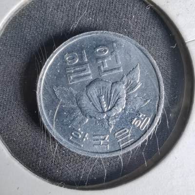 沼泽如烟--第1019场 - 韩国1970年一元