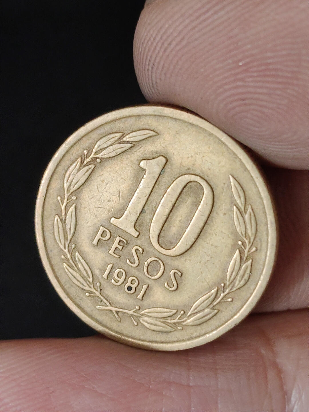 猩哥外币小铺➨【第220场】 智利