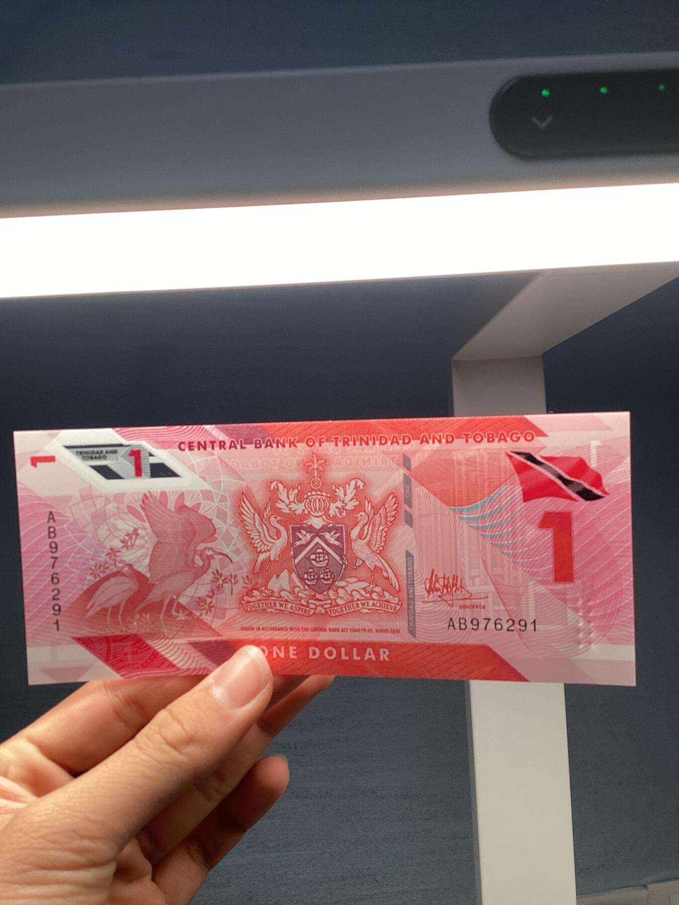 外币保真塑料钞5张