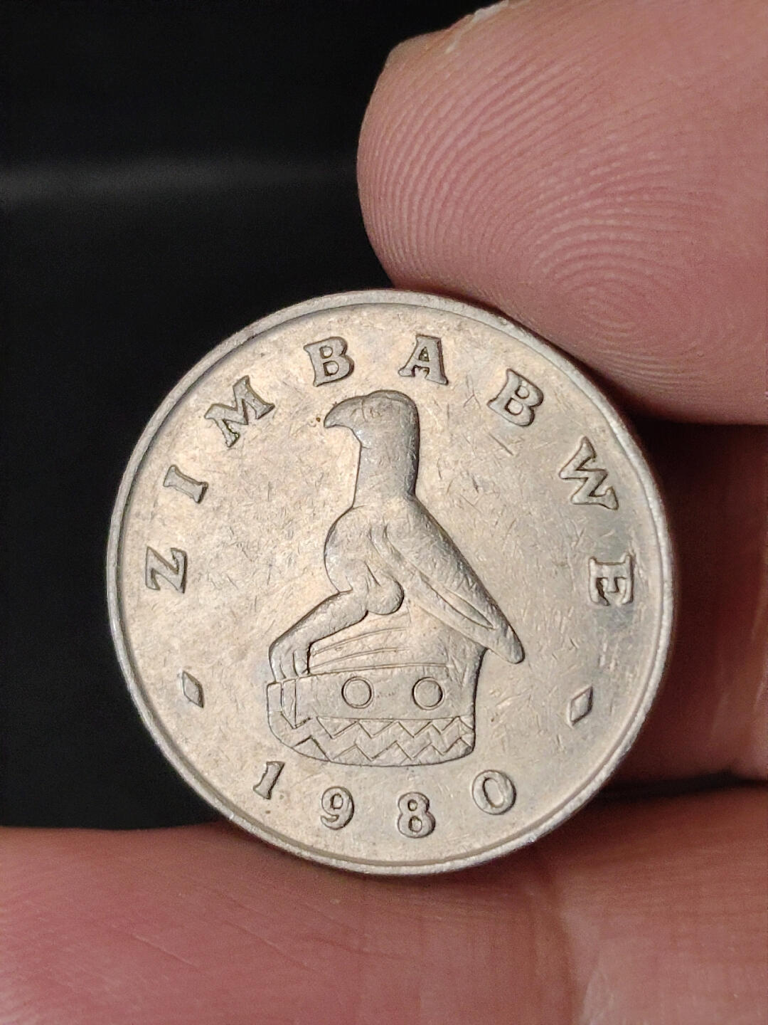 猩哥外币小铺➨【第220场】 鸟