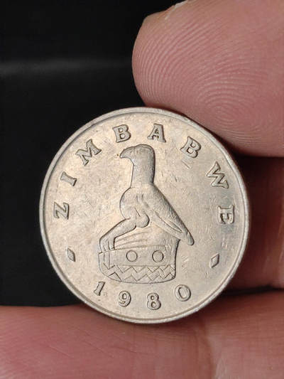 猩哥外币小铺➨【第220场】 - 鸟