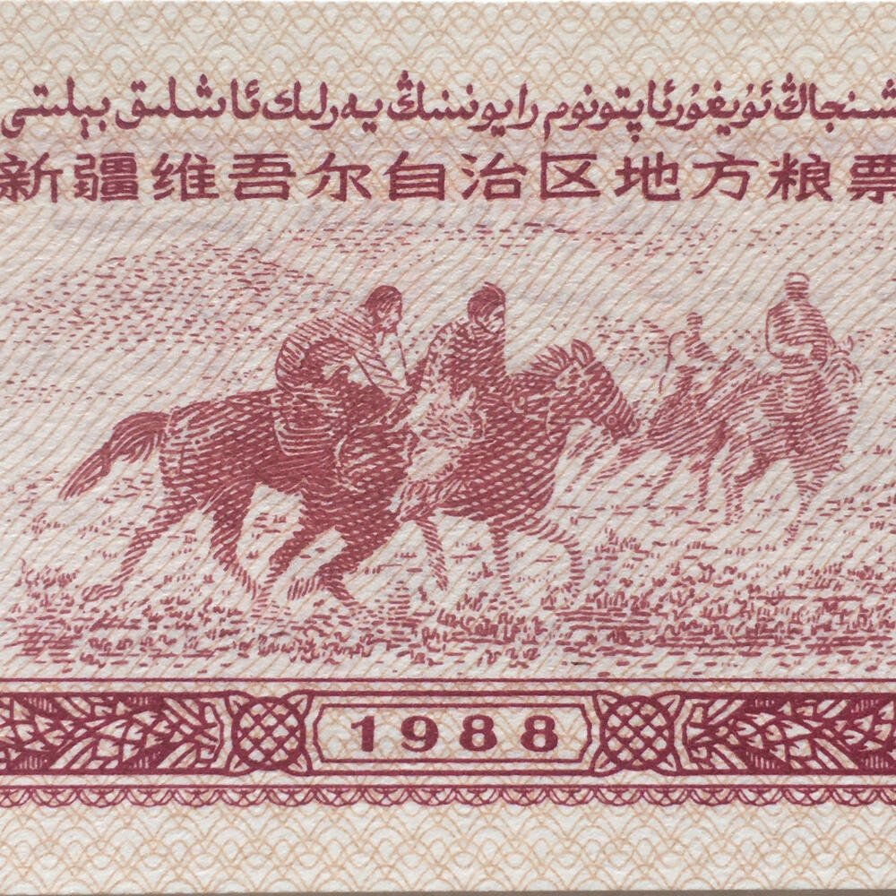 1988年新疆维吾尔自治区地方粮票贰佰克双语经典人物票全新品相未流通1枚原版真品如图供应票证旧藏文玩艺术收藏