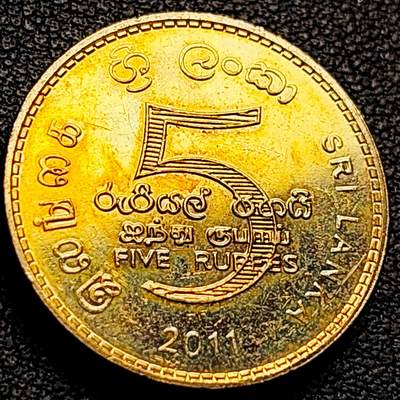 泉币菌-第208场-拍品多 请提前出价 - 铜光美品 持剑狮子 厚重 斯里兰卡5卢比硬币 23.5毫米 7.7克