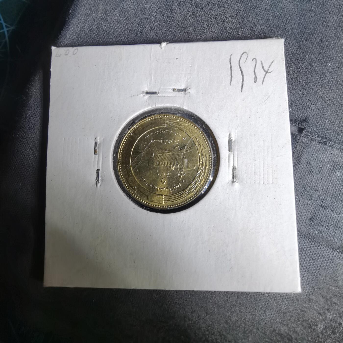 沼泽如烟--第1019场