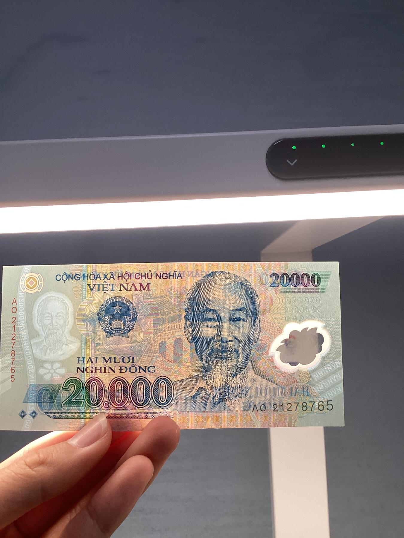 外币保真塑料钞5张