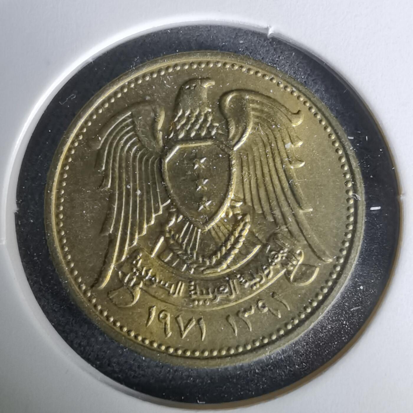 沼泽如烟--第1019场