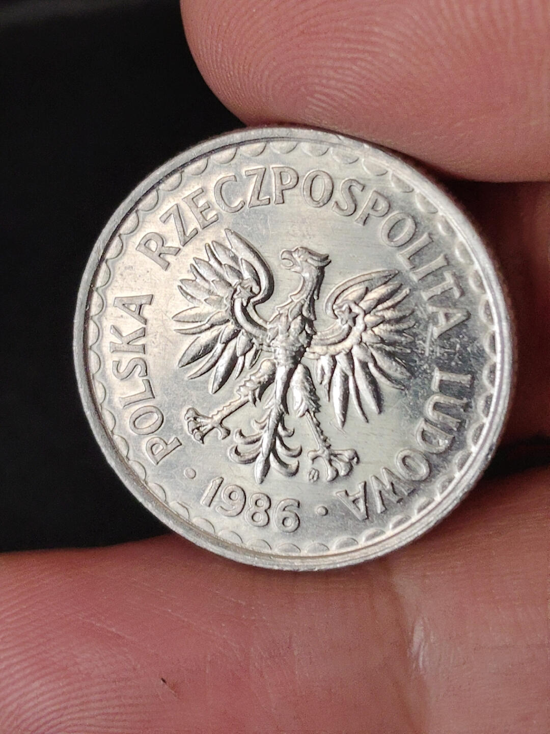 猩哥外币小铺➨【第220场】 波兰