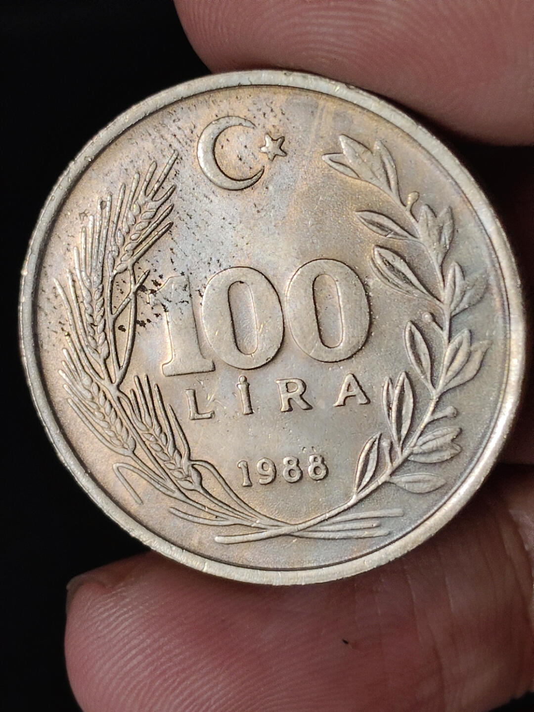 猩哥外币小铺➨【第220场】 土耳其