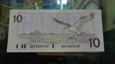 世界钱币～微拍第239期暨2026年第20期  部分尾货整理陆续低价起拍清仓 - 1989年加拿大10元鸟版 全新绝品无4尾号197