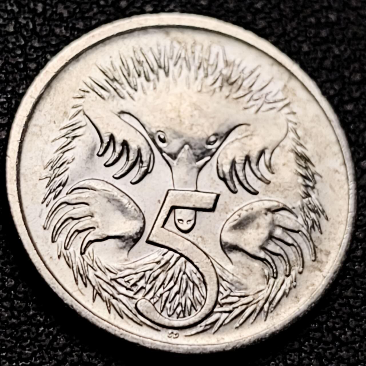 泉币菌-第207场-拍品多 请提前出价