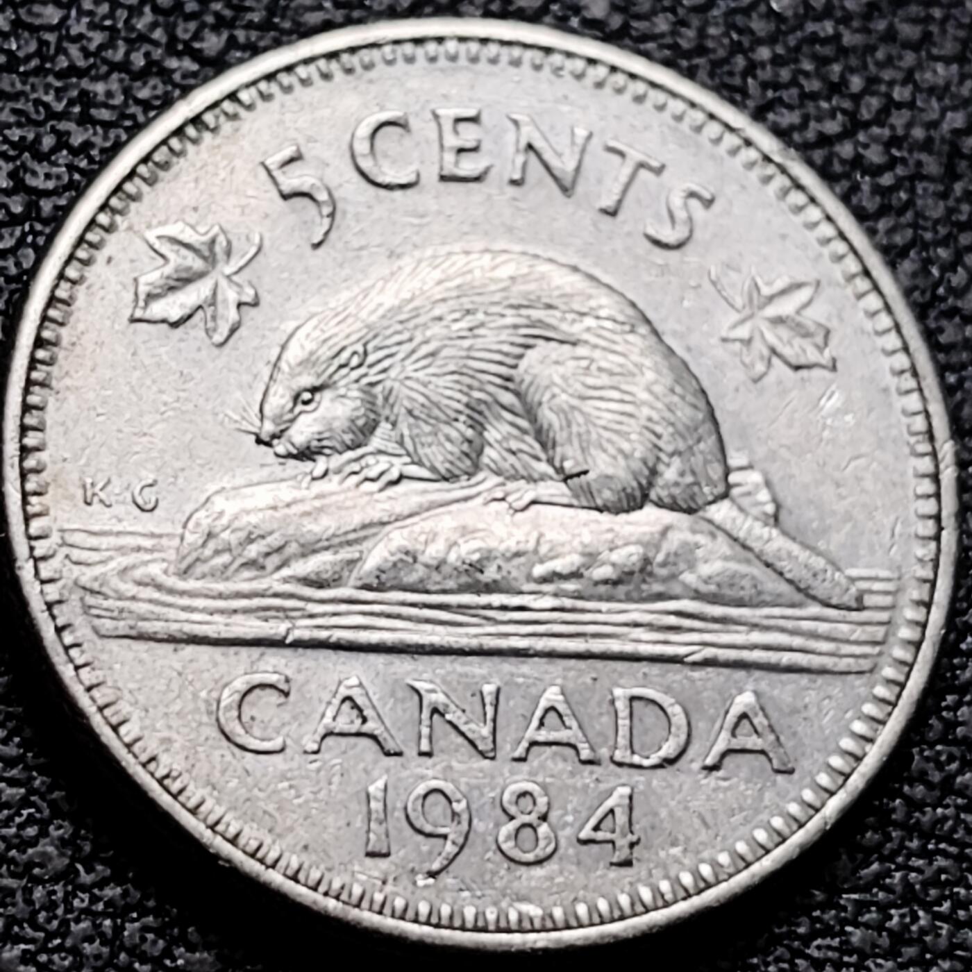 泉币菌-第208场-拍品多 请提前出价 。