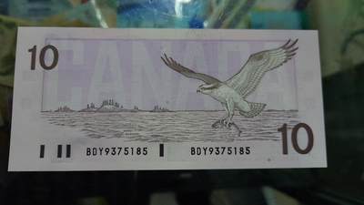 世界钱币～微拍第239期暨2026年第20期  部分尾货整理陆续低价起拍清仓 - 1989年加拿大10元鸟版 全新绝品无4尾号185