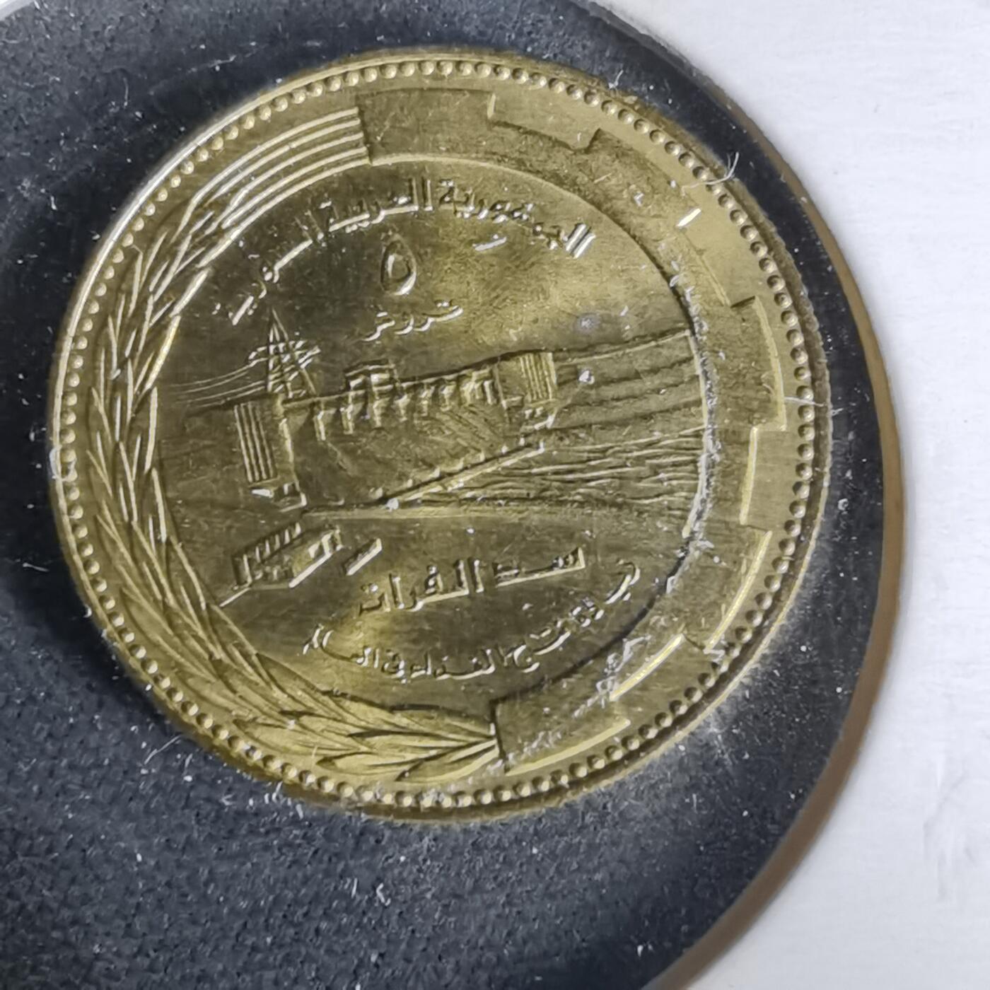 沼泽如烟--第1019场