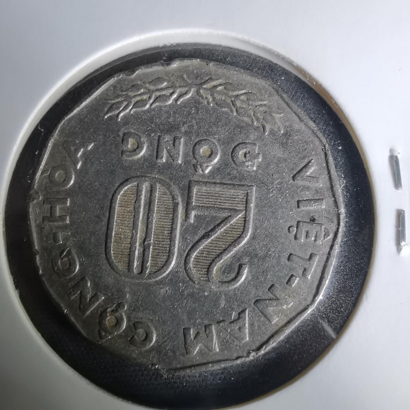 沼泽如烟--第1019场