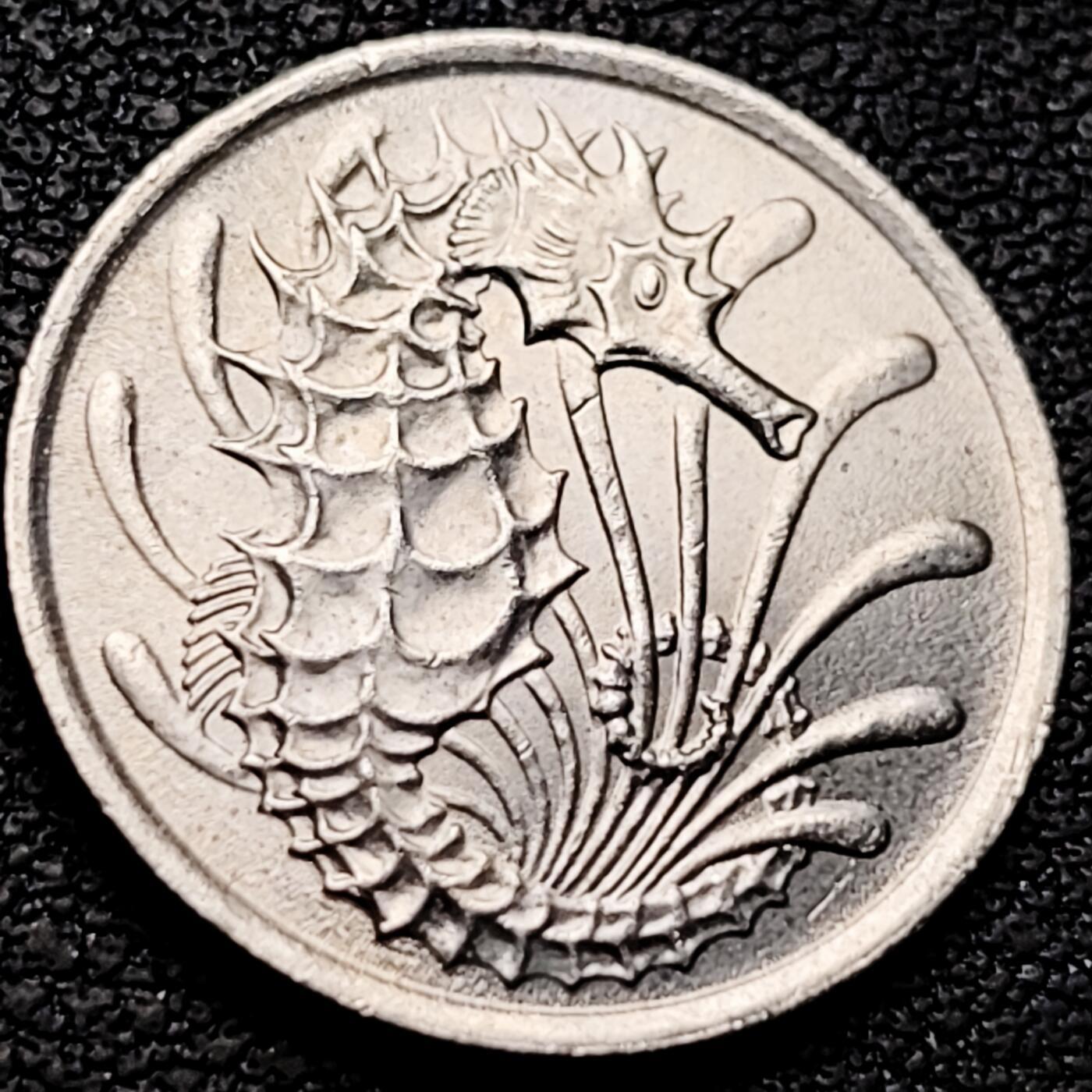 泉币菌-第208场-拍品多 请提前出价 。