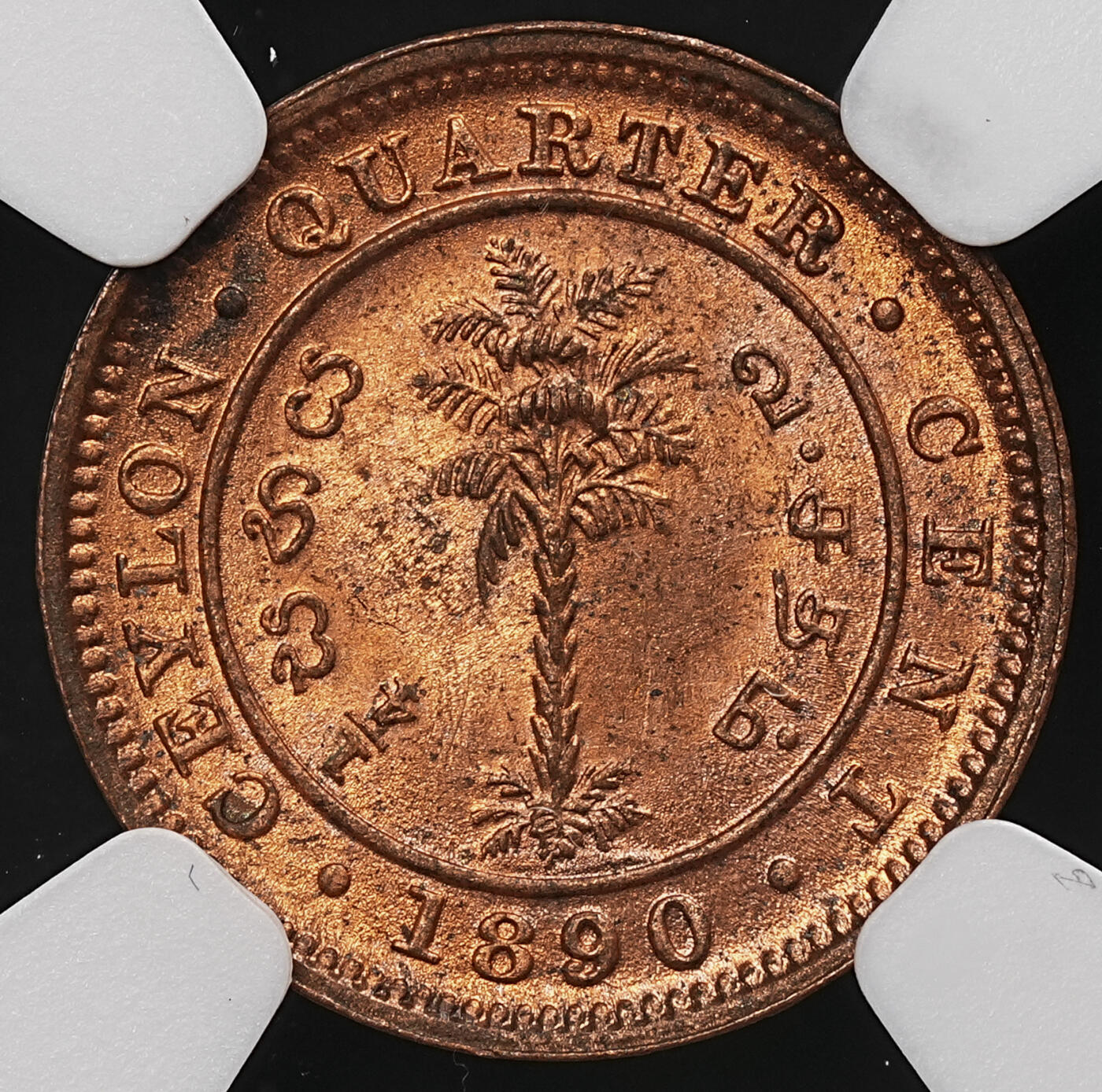 修遠堂世界钱币第107期 NGC MS63RB 1890年英属锡兰1/4分铜币