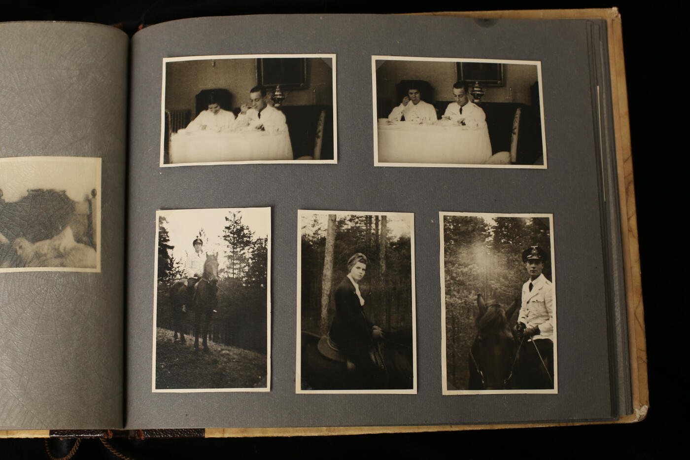 戎马世界章牌大赏第112期 德专场 属于警察中将兼党卫队旅队长（ss中将）布鲁诺-格奥尔格·耶迪克 的私人相册