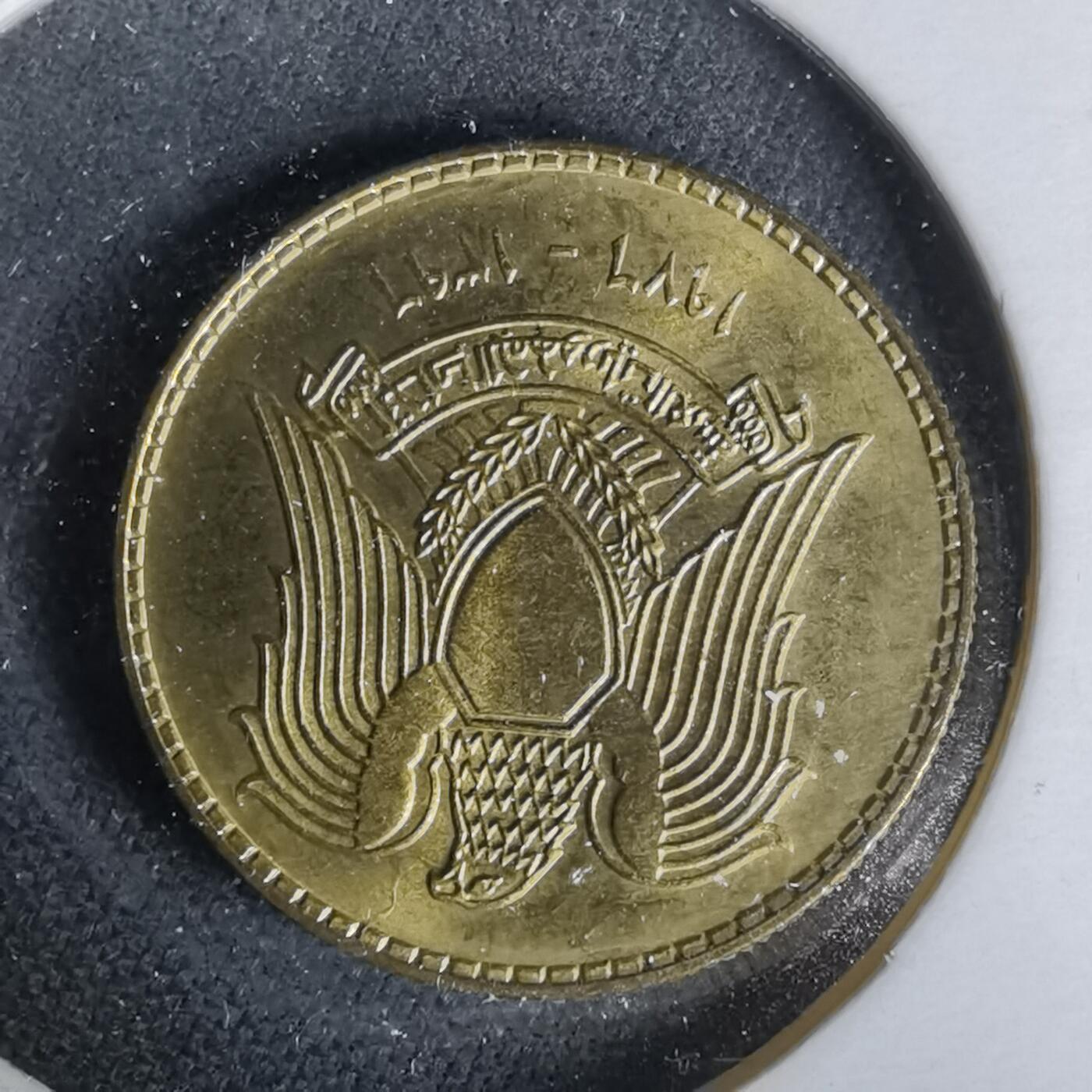 沼泽如烟--第1019场