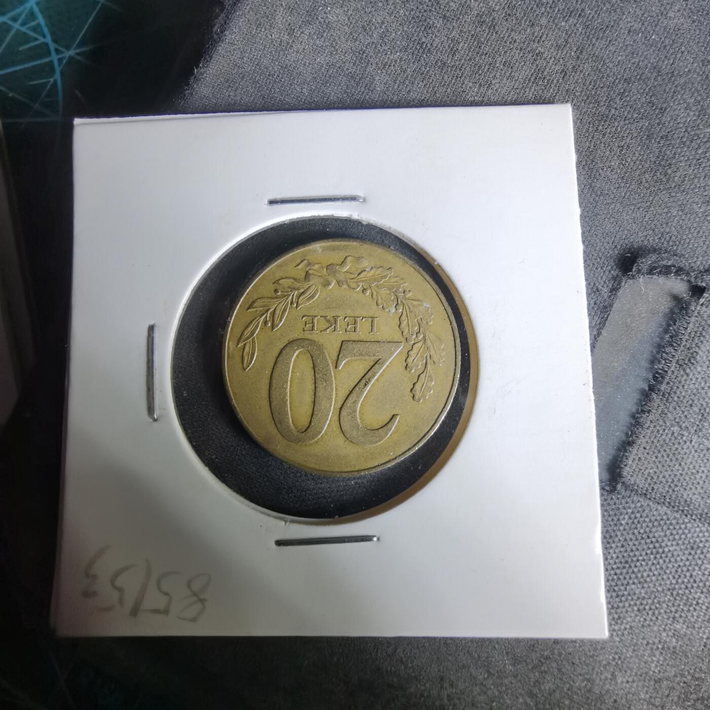 沼泽如烟--第1019场