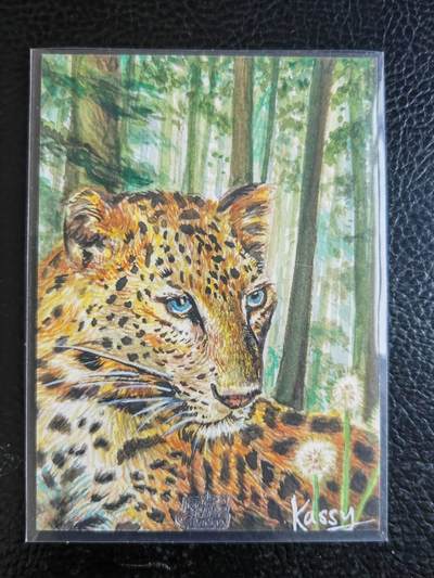 阳大大卡牌拍卖第104期（持续收拍品，周五晚上九点截拍，进群福利早知道） - 【手绘卡】林中豹-画师KASSY-乐联