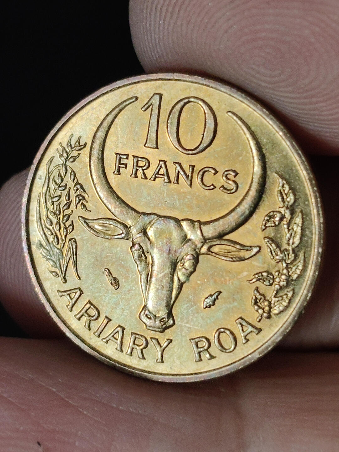 猩哥外币小铺➨【第220场】 法属