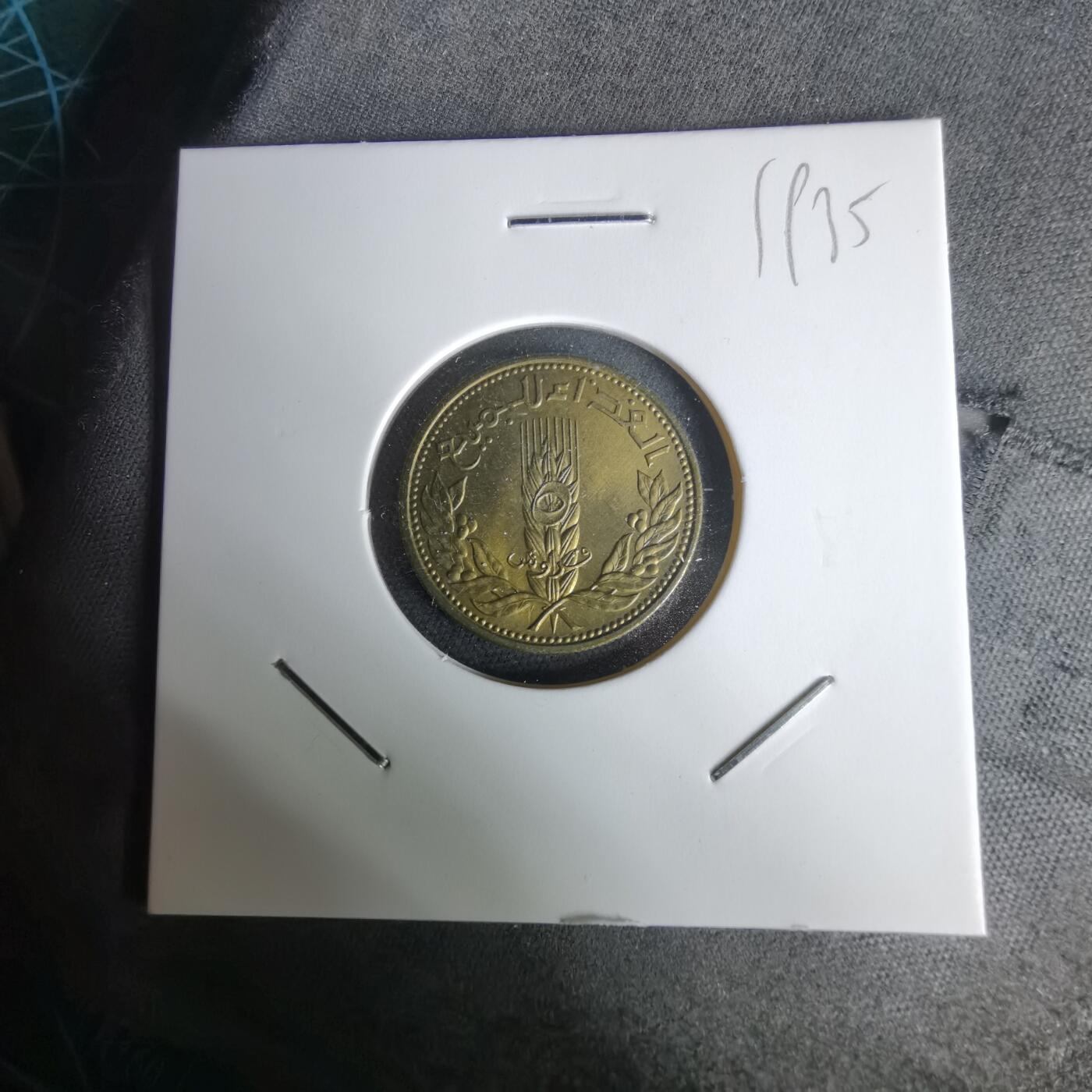 沼泽如烟--第1019场