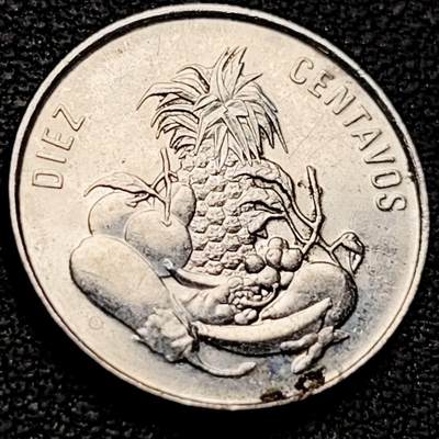 泉币菌-第207场-拍品多 请提前出价 - 带光 1989年 多米尼加共和国 10分硬币 热带果蔬 17.8mm