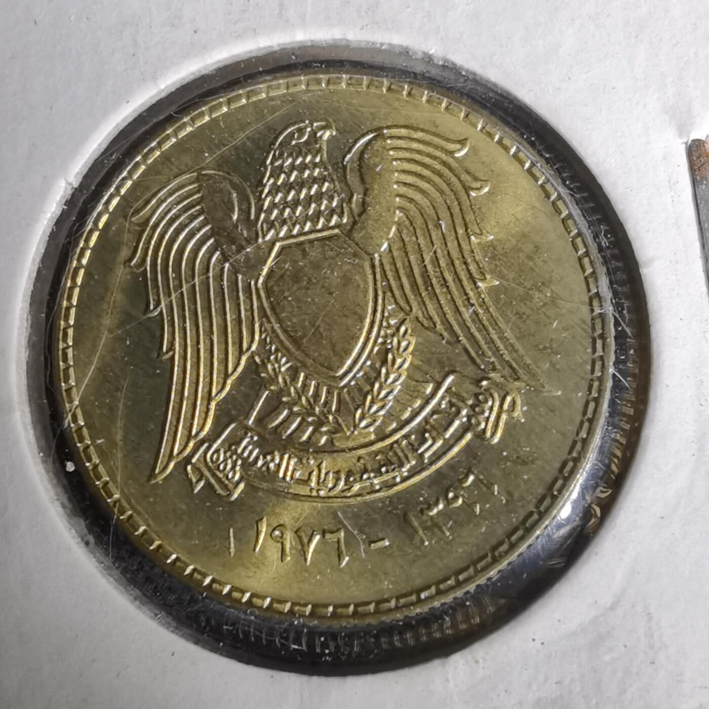 沼泽如烟--第1019场