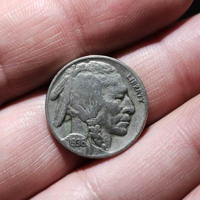 中外钱币第八场 - 美国印第安人野牛5美分