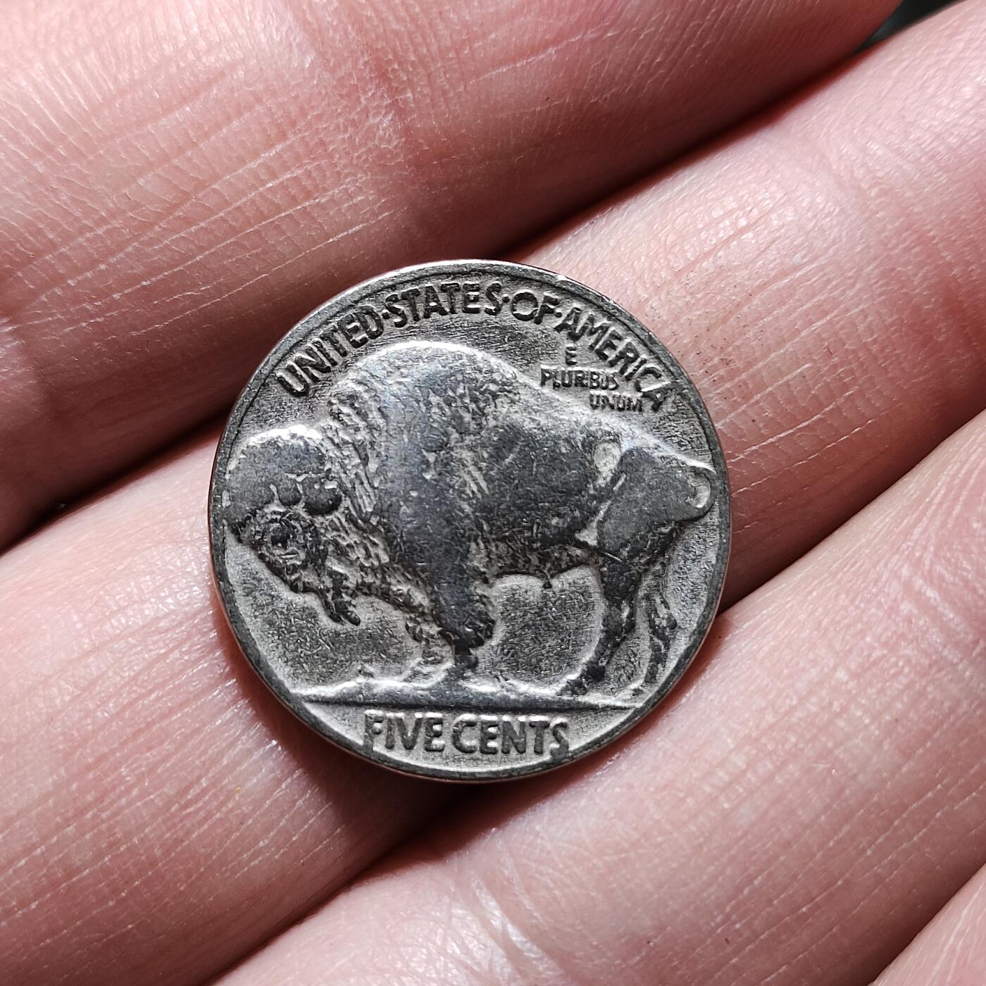 中外钱币第八场 美国印第安人野牛5美分