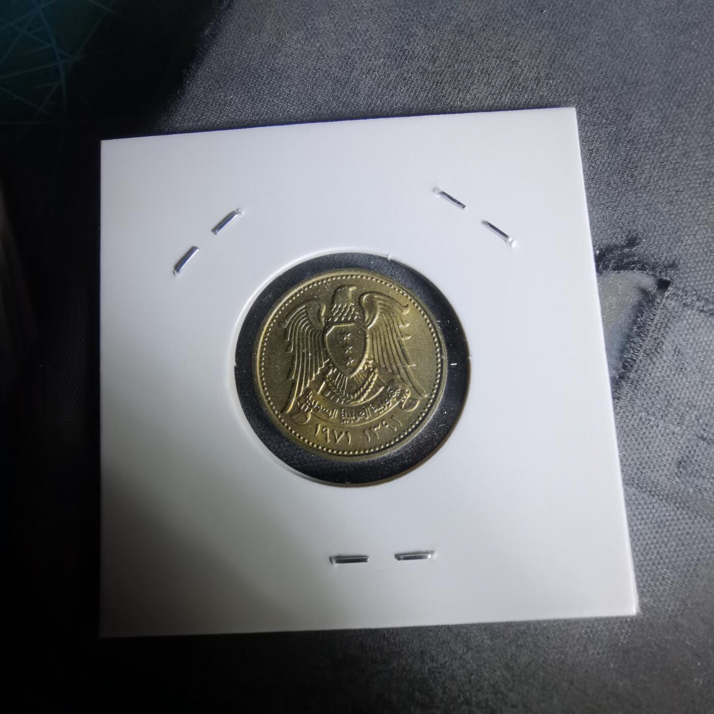 沼泽如烟--第1019场