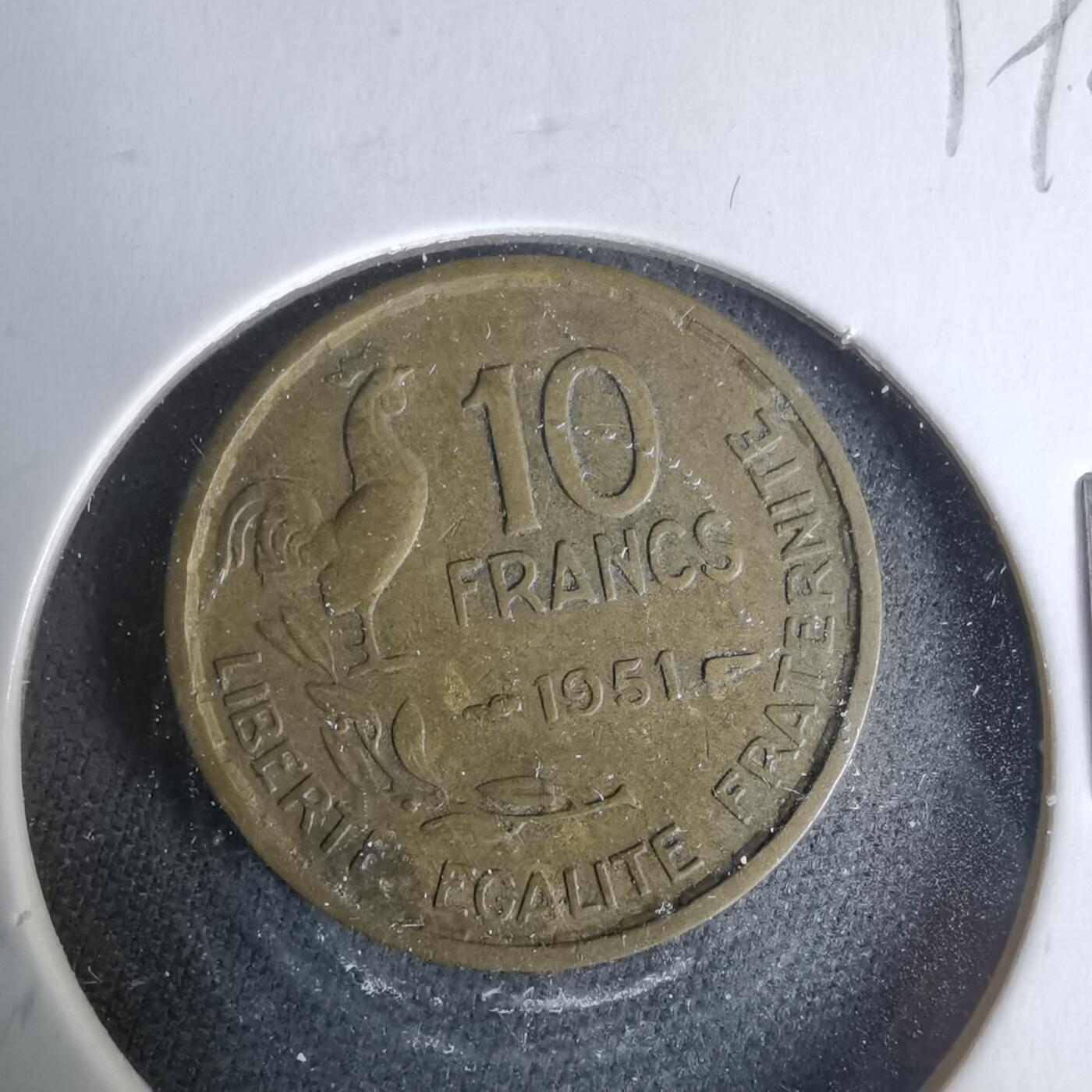 沼泽如烟--第1019场