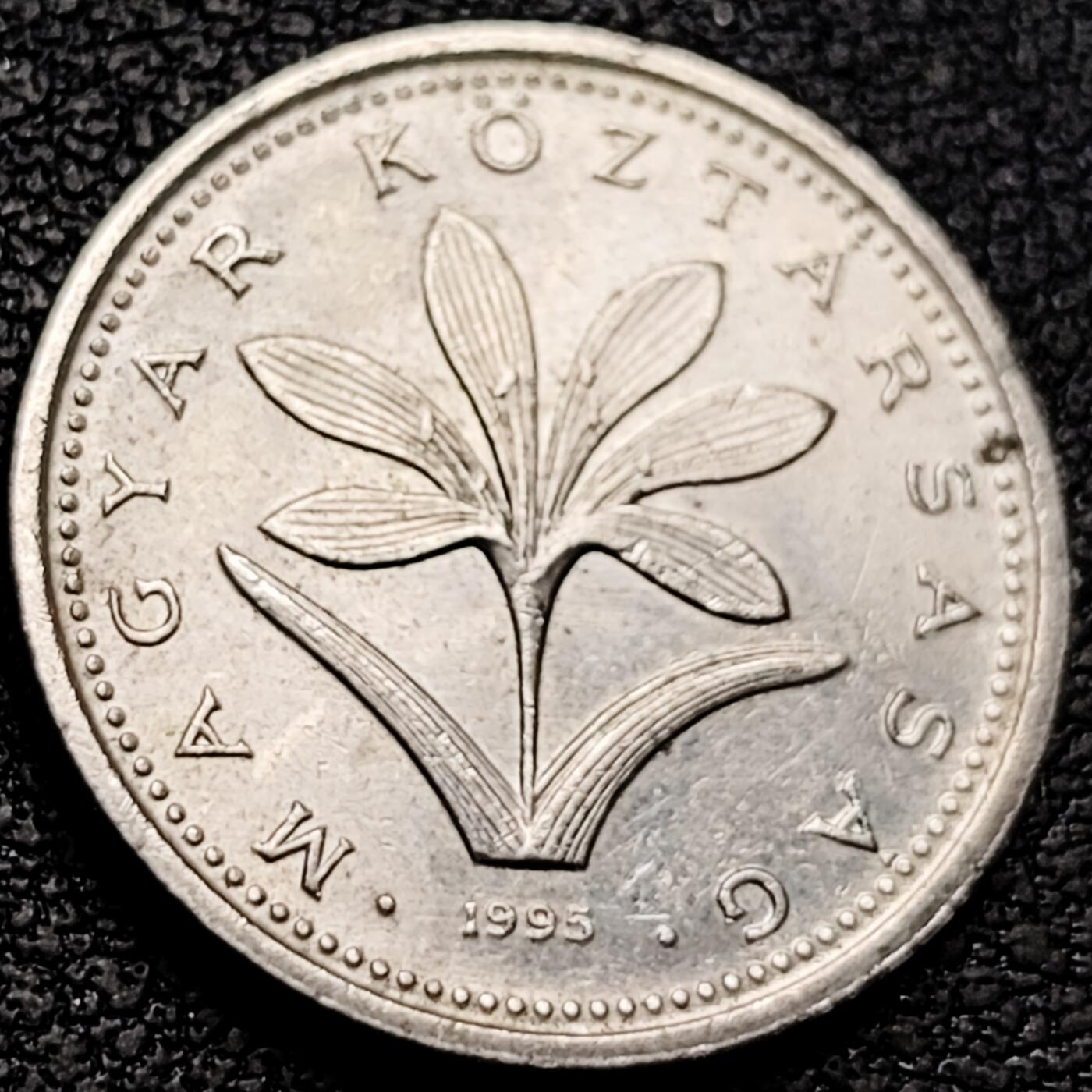 泉币菌-第208场-拍品多 请提前出价 。