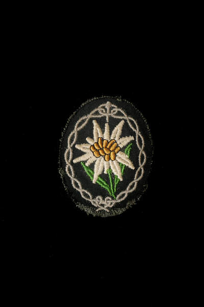 戎马世界章牌大赏第112期 德专场 - 山地兵雪绒花臂章