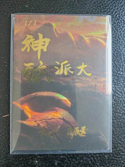 阳大大卡牌拍卖第104期（持续收拍品，周五晚上九点截拍，进群福利早知道） 【手绘卡】熊猫人-画师派大