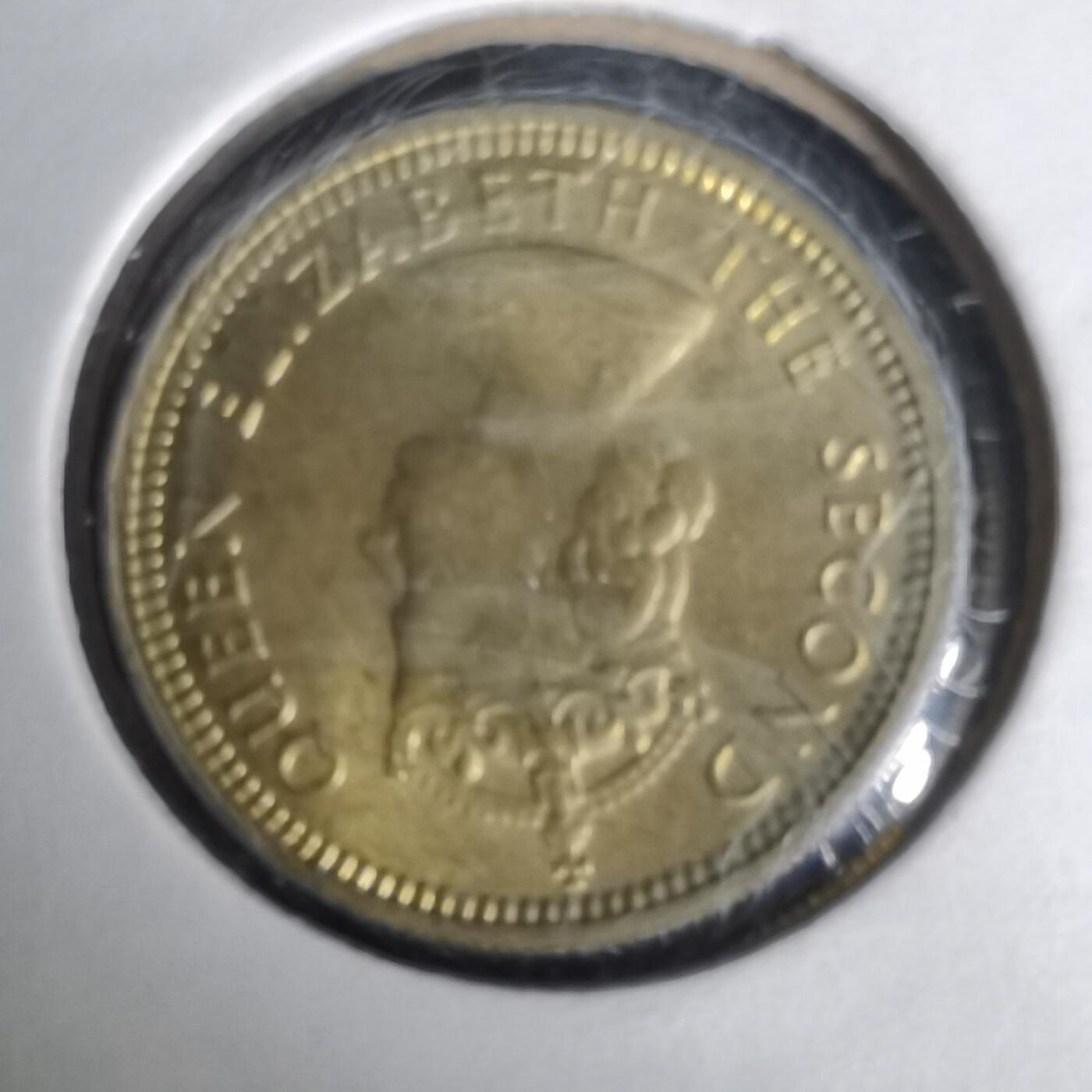 沼泽如烟--第1019场 香港1965年五仙