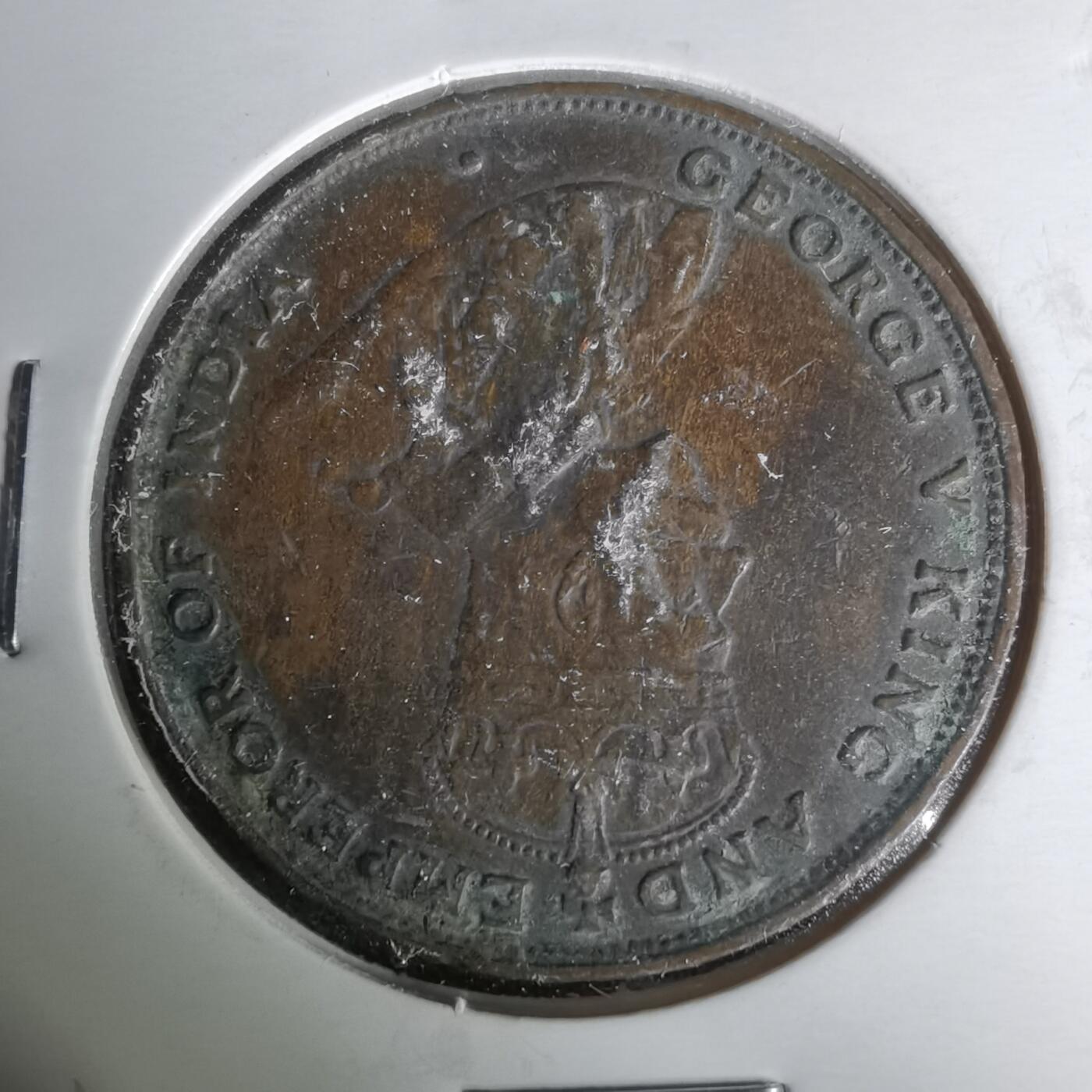 沼泽如烟--第1019场 香港1924年一仙