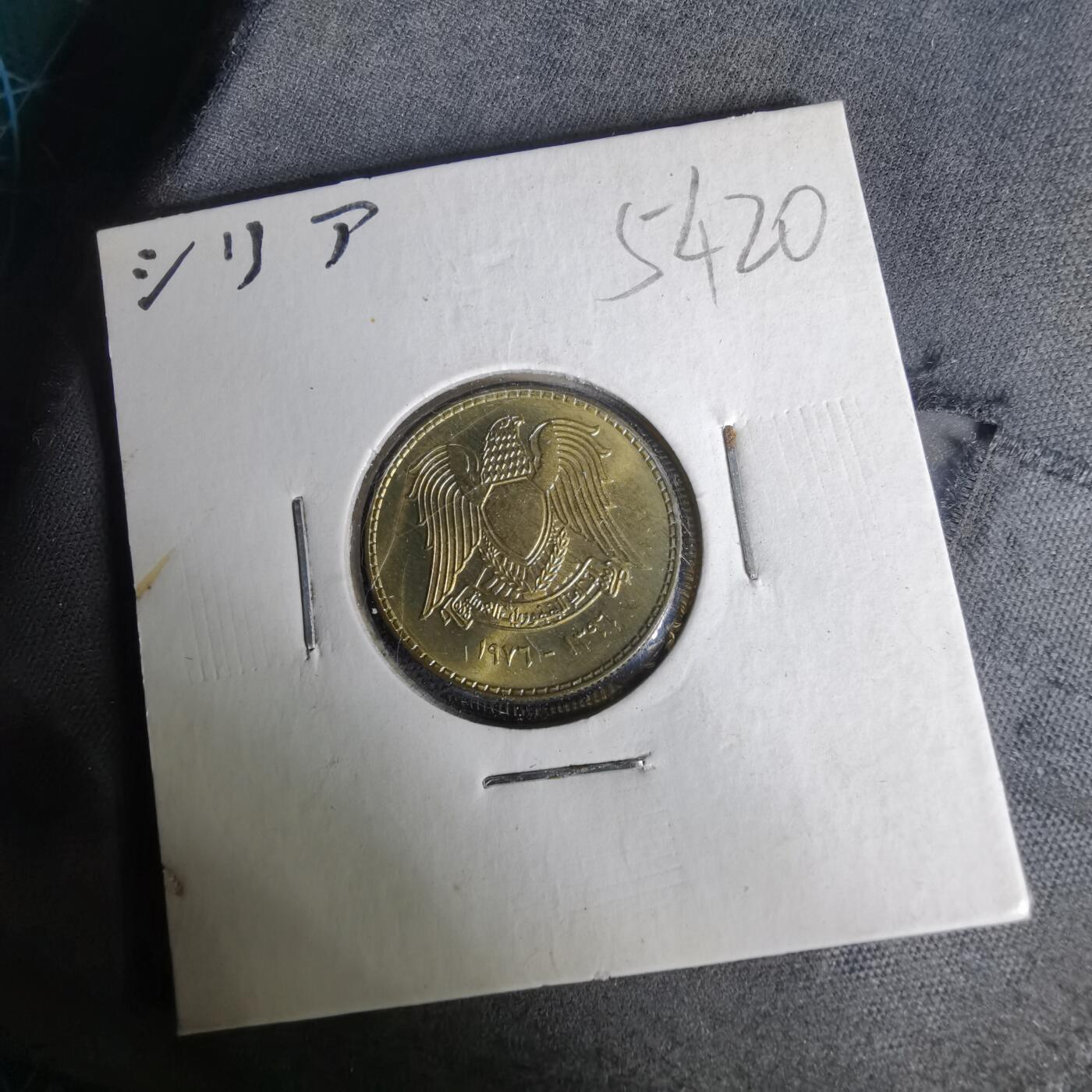 沼泽如烟--第1019场