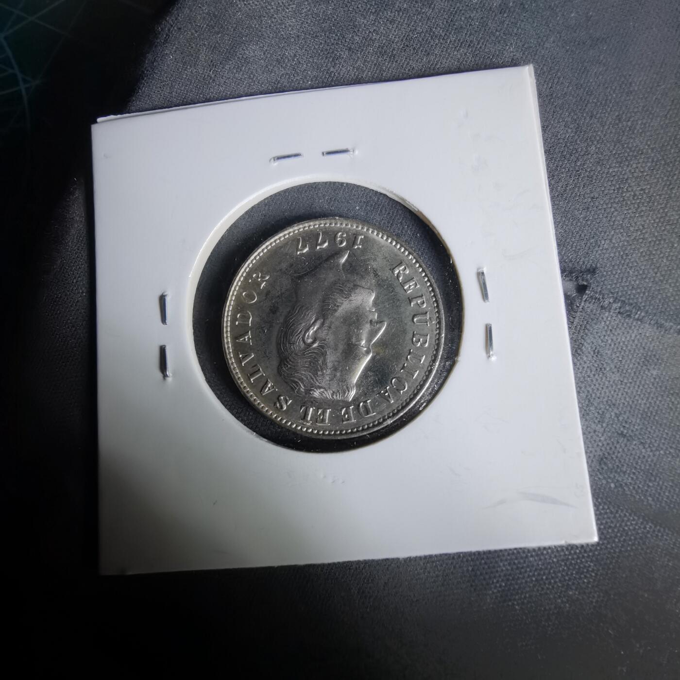 沼泽如烟--第1019场