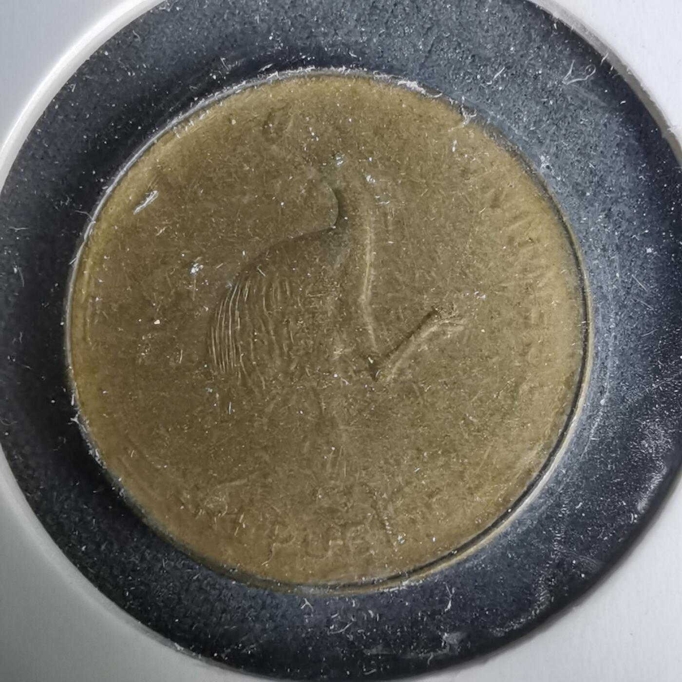 沼泽如烟--第1019场 阿根廷1986年一分