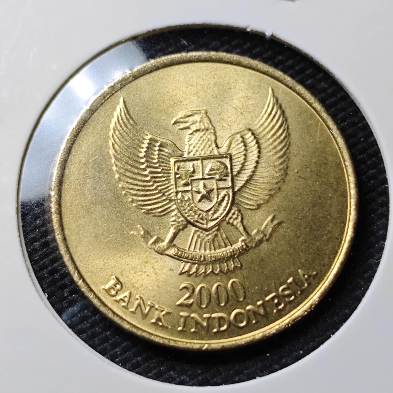 KK钱币收藏小铺   第405期 2月预留时间 周末发货