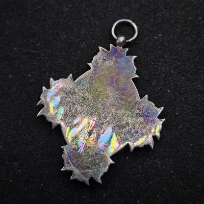 0元起拍勋章 第338期 咸鱼国勋章拍卖专场 3月15日（周日）下午6：00开始 低精度影剧版 宝冠勋章 非银制