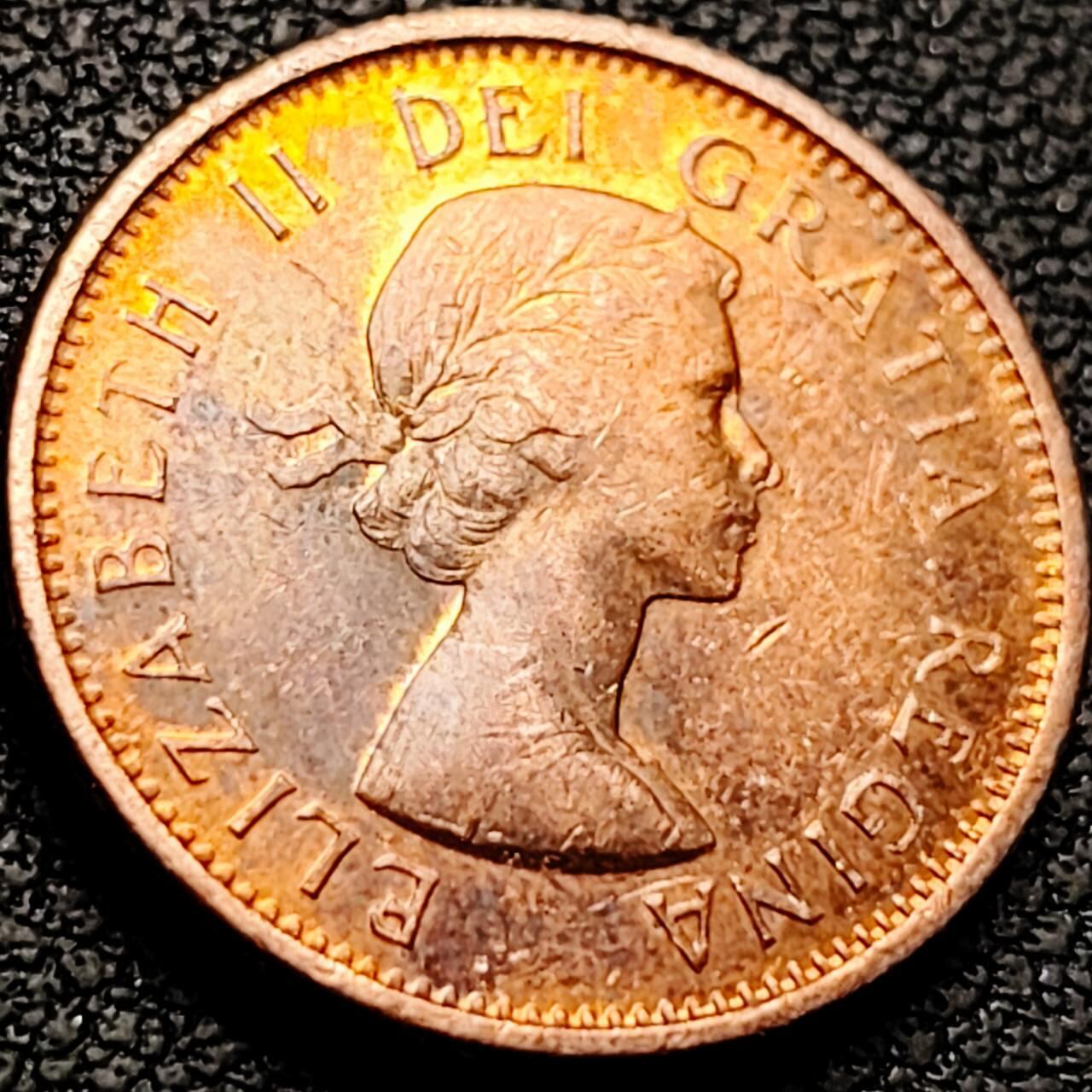 泉币菌-第207场-拍品多 请提前出价