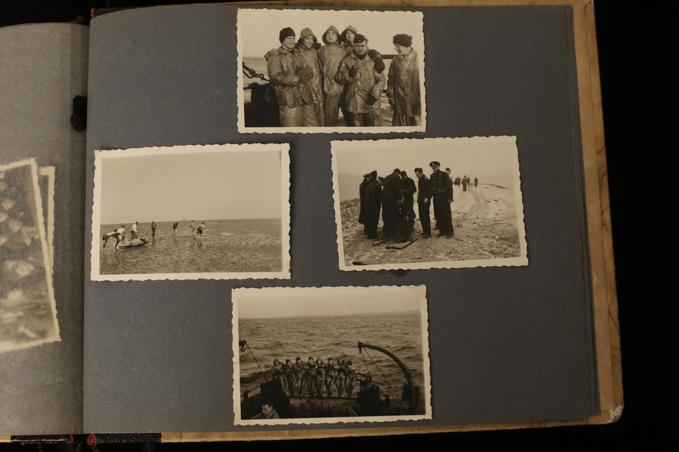 戎马世界章牌大赏第112期 德专场 属于警察中将兼党卫队旅队长（ss中将）布鲁诺-格奥尔格·耶迪克 的私人相册