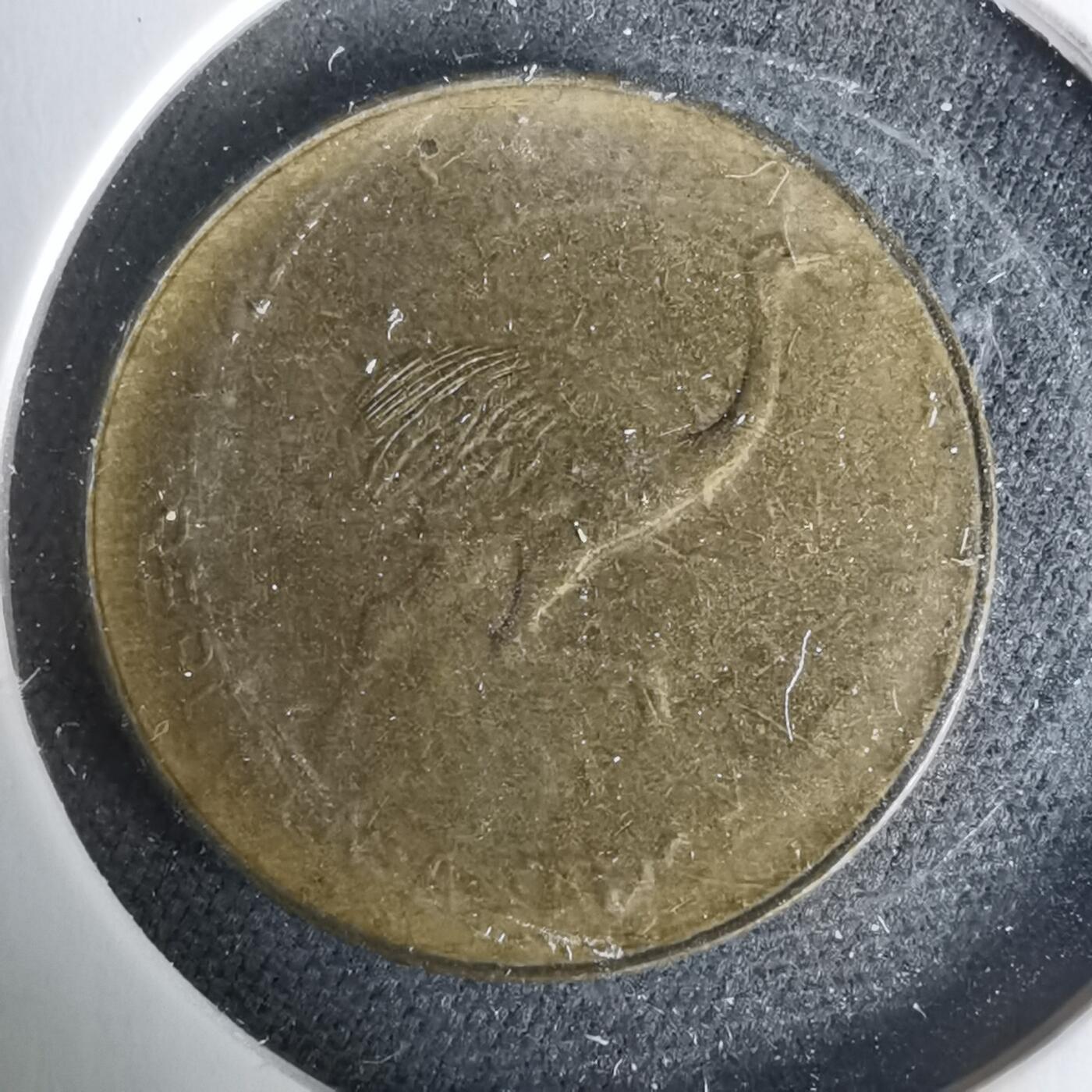 沼泽如烟--第1019场 阿根廷1986年一分