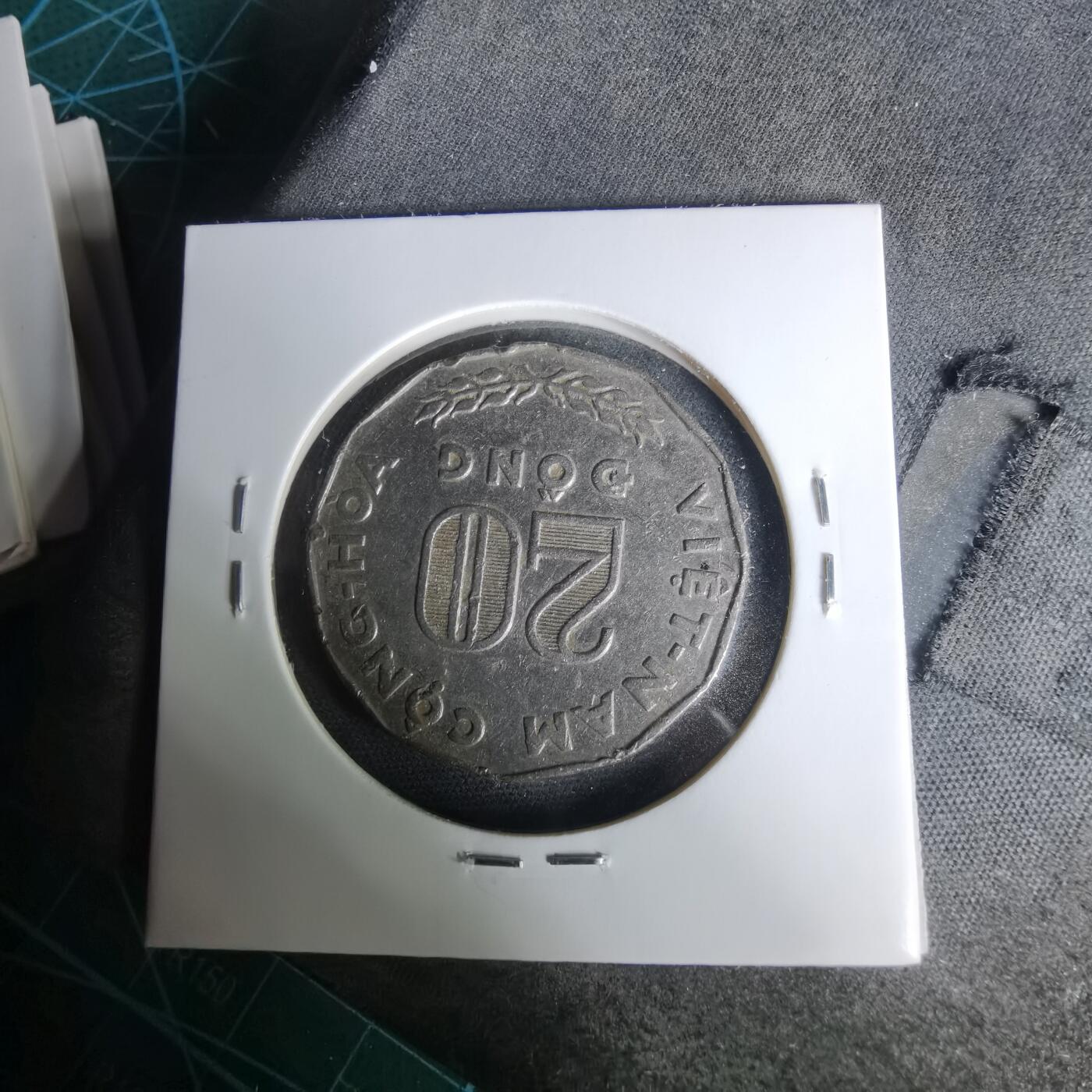 沼泽如烟--第1019场